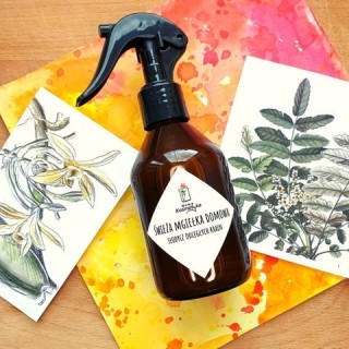 Nowa Kosmetyka Home Mist "Gin en Tonic" 150 ml(29-01-2026)