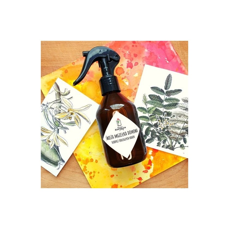 Nowa Kosmetyka Home Mist "Gin en Tonic" 150 ml(29-01-2026)