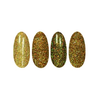 Ronney Holo Effect nagelpoeder /16/ Goud