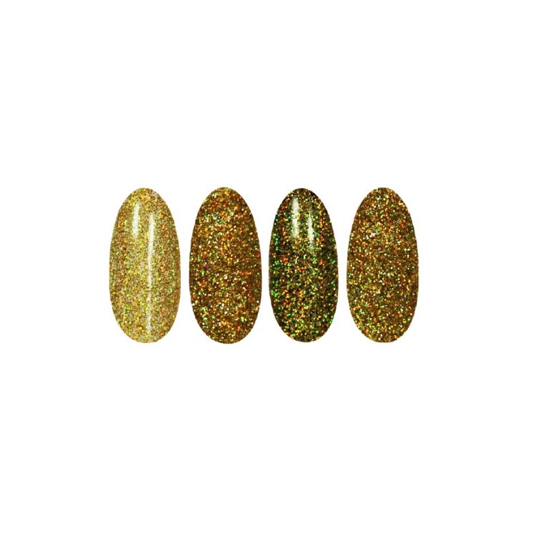 Ronney Holo Effect nail powder /16/ Gold