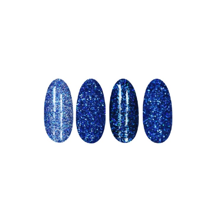 Ronney Holo Effect nail powder /23/ Blue