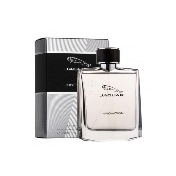 Jaguar Eau de Toilette for Men Innovation 100 ml
