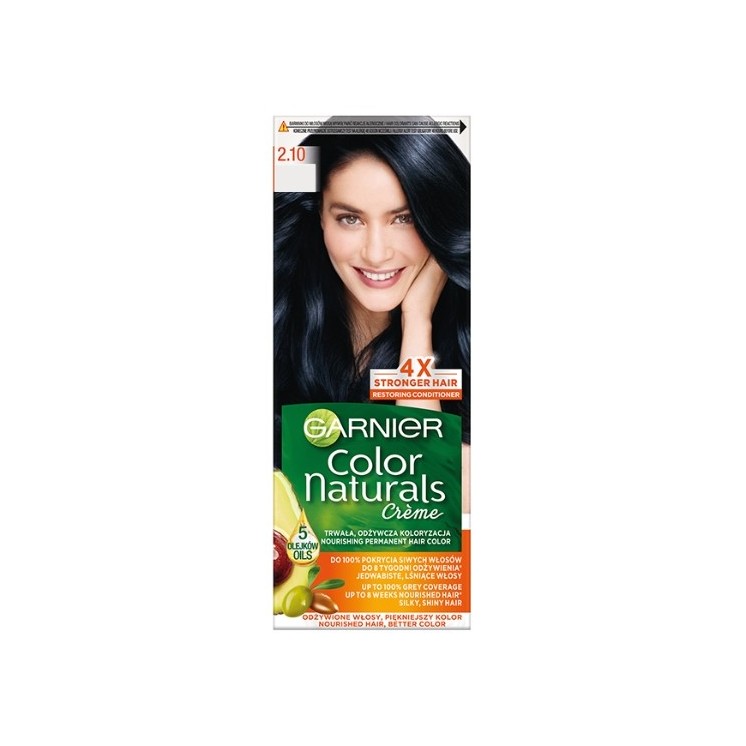 Garnier Color Naturals Haarverf /2.10/ Berry Black
