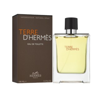 Hermes Terre D'Hermes Eau de Toilette für Männer 100 ml