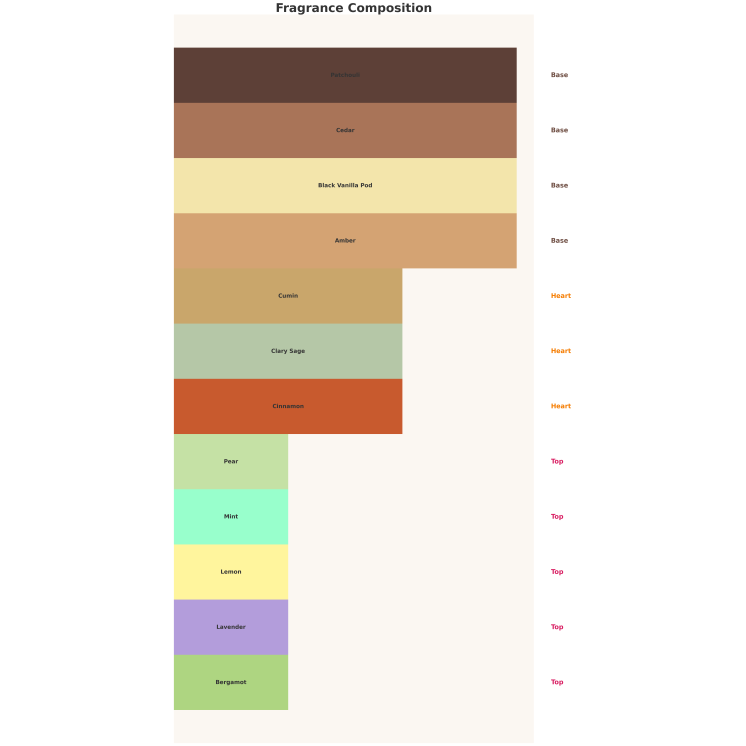 Emir Atomise Intensive Men Eau de Parfum für Männer 100 ml