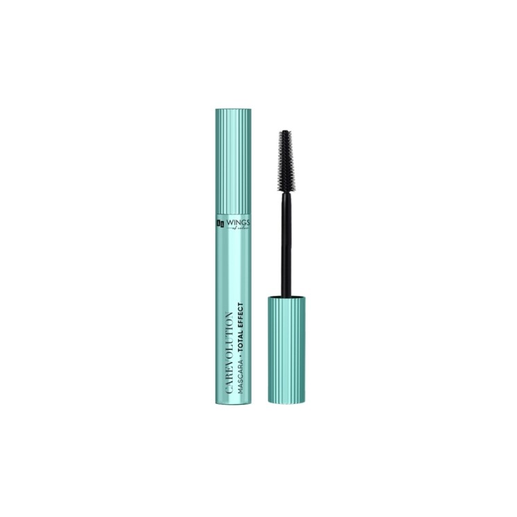 AA Wings of Color Carevolution зволожуюча Total Effect 9 г