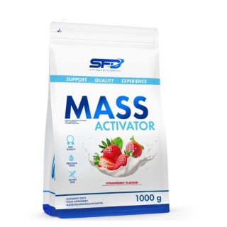 AllNutrition Massenbeschleunigung Strawberry 1000 g