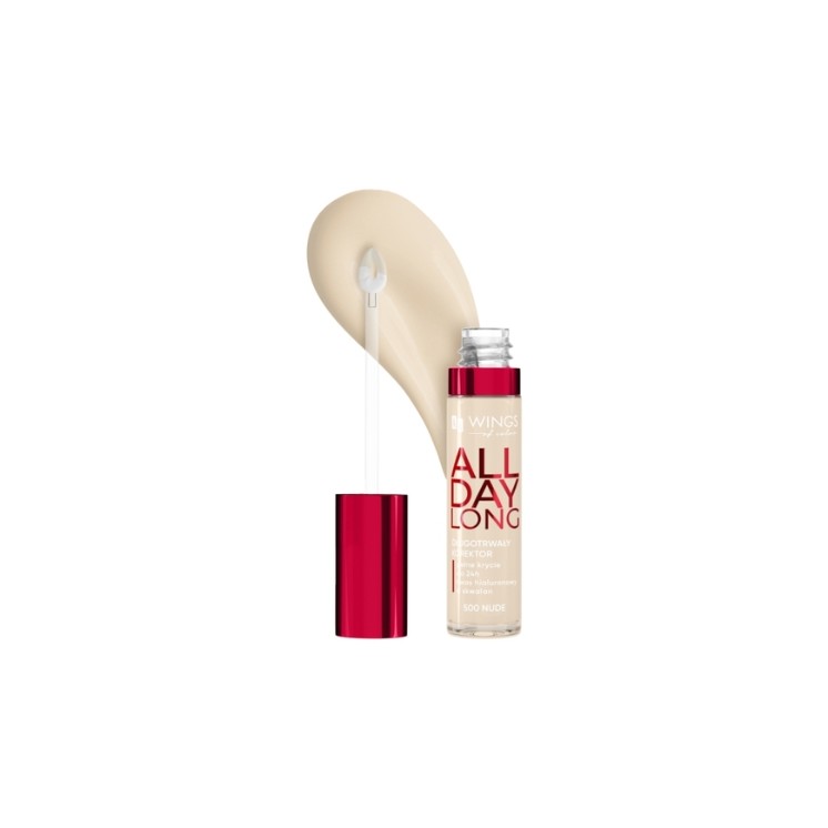 AA Wings of Color All Day Long Long-lasting Face Concealer /500/ Nude 6, 2 g