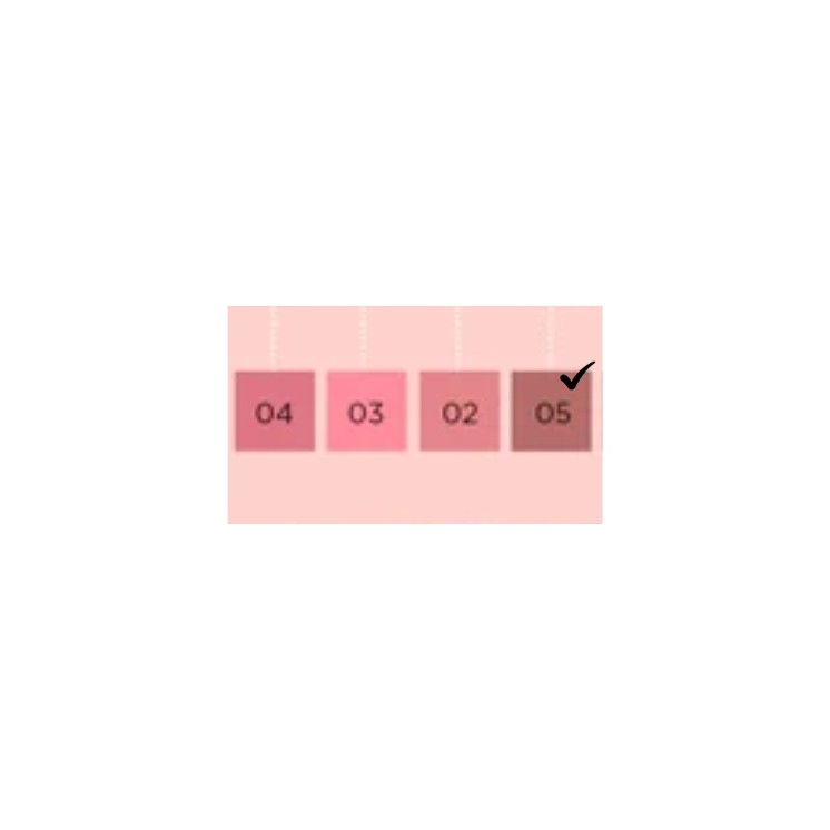 Eveline Wonder Match Blush en vloeibare lippenstift /05/ 5 ml